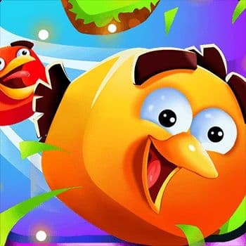 Birds VS Blocks